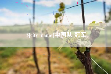 南充中国队 冠军