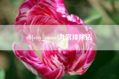 南充九宫排除法