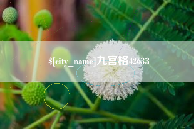 南充九宫格42633