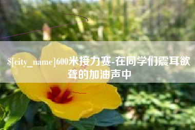 南充600米接力赛-在同学们震耳欲聋的加油声中
