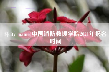 南充中国消防救援学院2021年报名时间