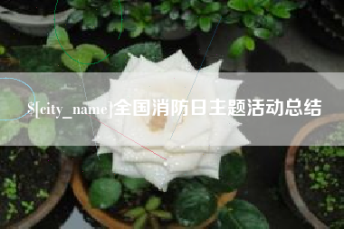 南充全国消防日主题活动总结