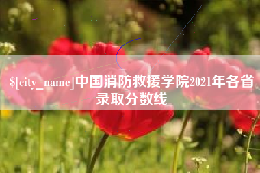 南充中国消防救援学院2021年各省录取分数线