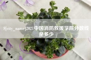 南充2021中国消防救援学院分数线是多少