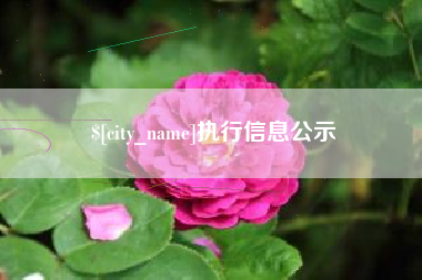南充执行信息公示