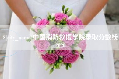 南充中国消防救援学院录取分数线2020