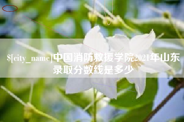 南充中国消防救援学院2021年山东录取分数线是多少