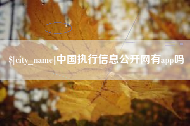 南充中国执行信息公开网有app吗