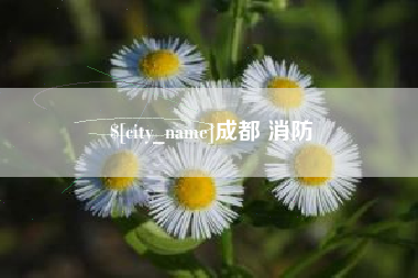 南充成都 消防