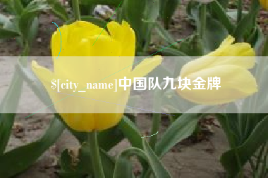 南充中国队九块金牌