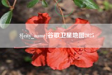 南充谷歌卫星地图2025