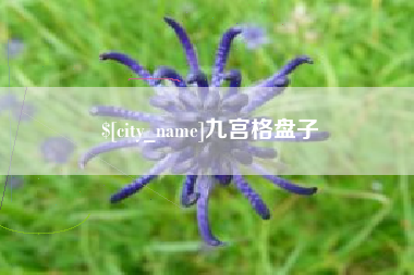 南充九宫格盘子