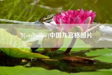 南充中国九宫格图片