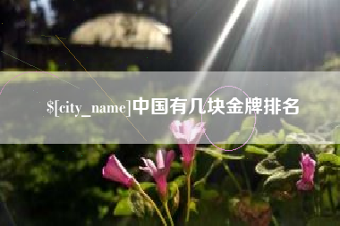 南充中国有几块金牌排名
