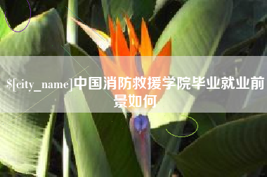 南充中国消防救援学院毕业就业前景如何