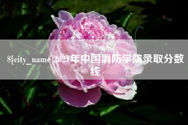南充2021年中国消防学院录取分数线
