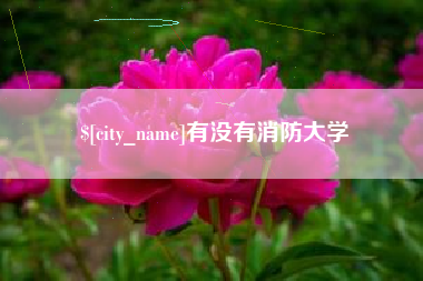 南充有没有消防大学