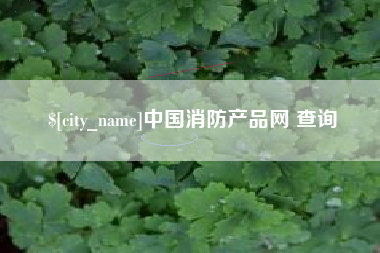 南充中国消防产品网 查询