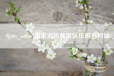 南充国家消防救援队伍报名网址