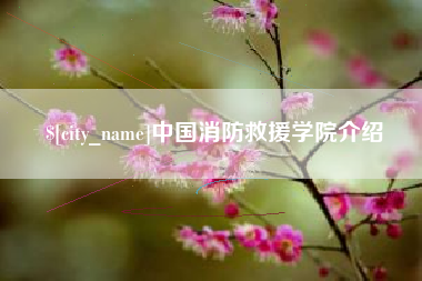 南充中国消防救援学院介绍