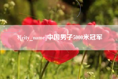 南充中国男子5000米冠军