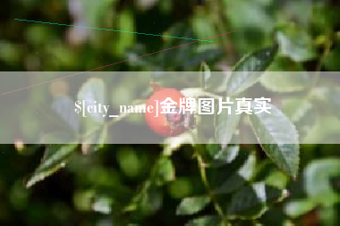 南充金牌图片真实