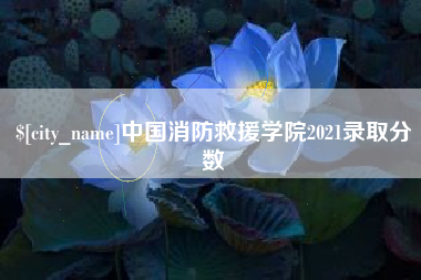 南充中国消防救援学院2021录取分数