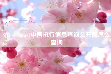 南充中国执行信息查询公开网怎么查询