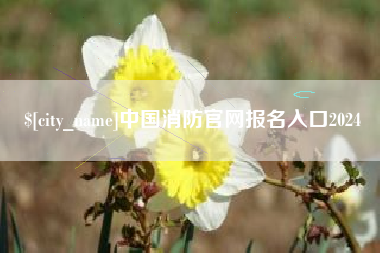 南充中国消防官网报名入口2024