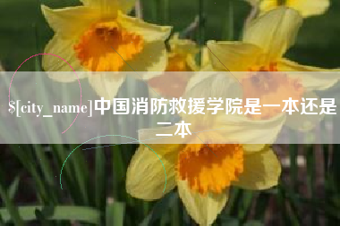 南充中国消防救援学院是一本还是二本