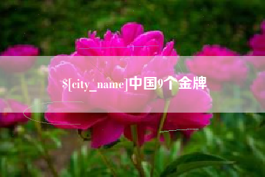 南充中国9个金牌