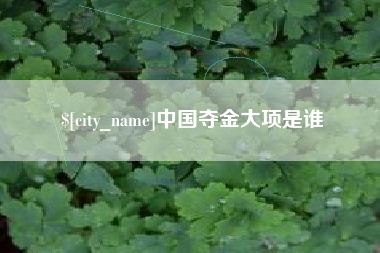 南充中国夺金大项是谁