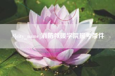 南充消防救援学院报考条件
