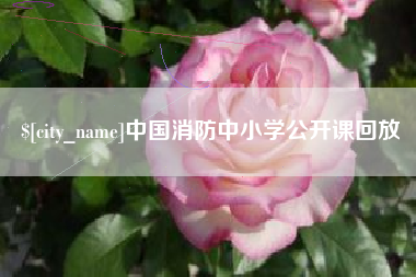 南充中国消防中小学公开课回放