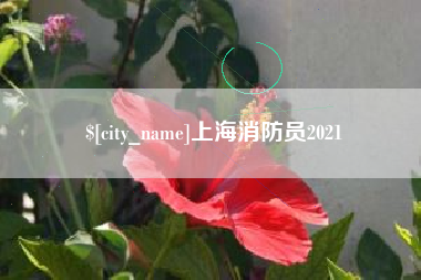南充上海消防员2021