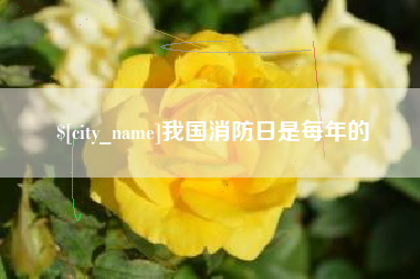 南充我国消防日是每年的