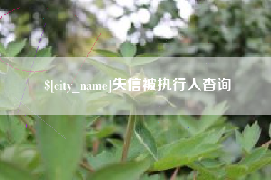 南充失信被执行人杳询