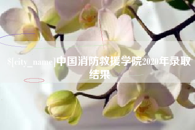 南充中国消防救援学院2020年录取结果