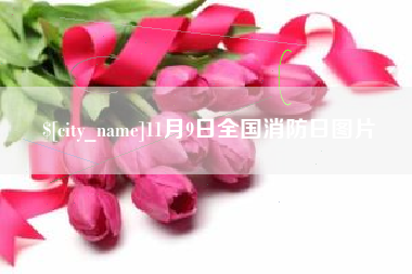 南充11月9日全国消防日图片