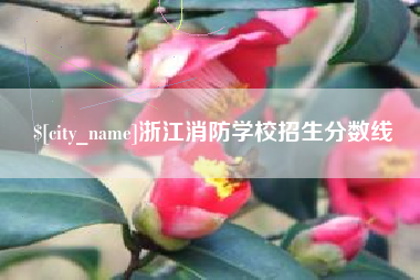 南充浙江消防学校招生分数线