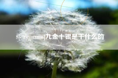 南充九金十银是干什么的