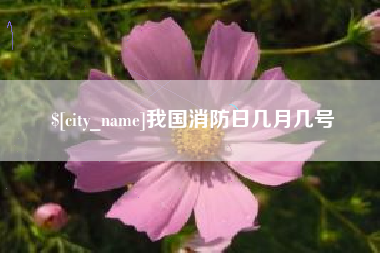 南充我国消防日几月几号