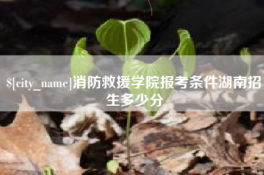 南充消防救援学院报考条件湖南招生多少分
