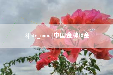 南充中国金牌18金