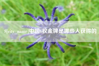 南充中国6枚金牌是哪些人获得的