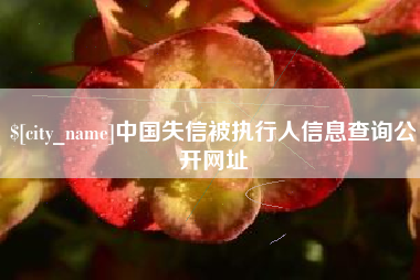 南充中国失信被执行人信息查询公开网址