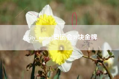 南充奥运会39块金牌