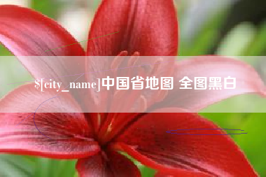 南充中国省地图 全图黑白