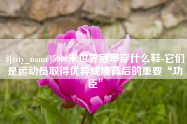 南充5000米世界冠军穿什么鞋-它们是运动员取得优异成绩背后的重要“功臣”