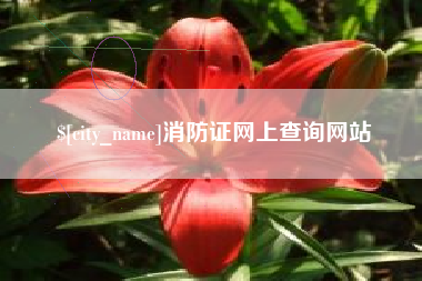 南充消防证网上查询网站